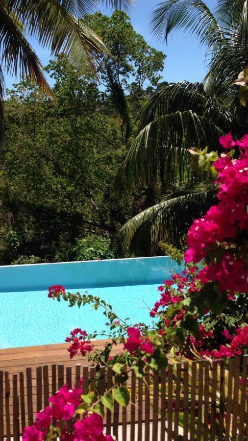 Confortable T1 Le Gosier, Wi-Fi, Piscine Dans Gite Le Gosier  Dış mekan fotoğraf